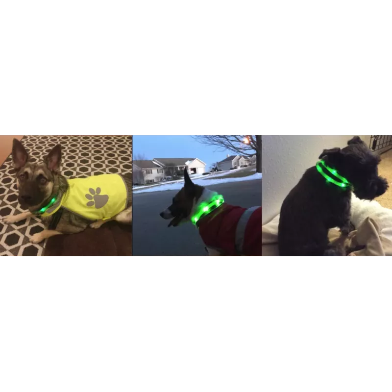 LED-Halsband Anicoll Grün für Hunde und Katzen Modell wiederaufladbare Beleuchtung