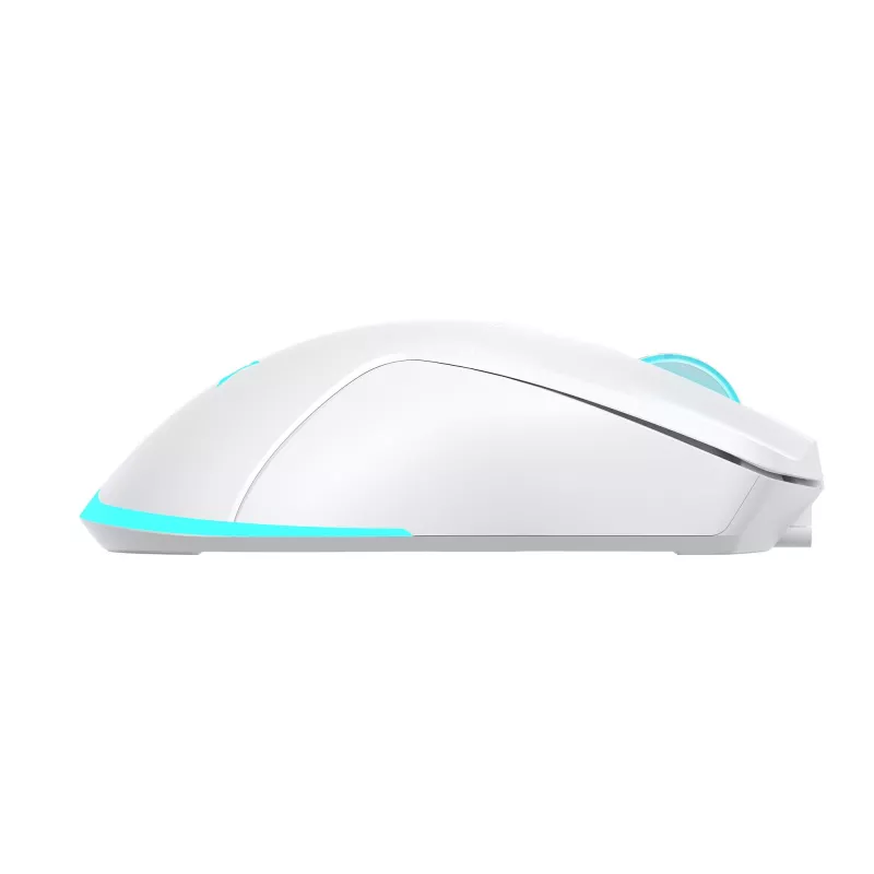 Maus Baracuda BGM-122 Turtle Weiß TURTLE-W