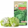 Crisp Ice Lettuce Summer Toraf Gemüsesamen, 1g-Packung