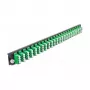 Spleißbox-Frontplatte DeLOCK 19 Zoll 43370 24 Port LC Quad grün