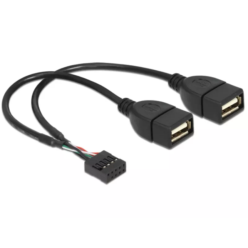 Internes USB-Kabel DeLOCK 83292 0,2 m Buchse auf Buchse