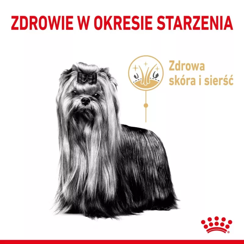 Trockenfutter für Hunde Royal Canin Yorkshire Terrier 8+ 3 kg — Geflügel, für ältere Yorkshire Terrier, Protein 29%, Fett 18%