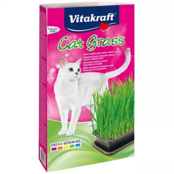 Katzengras-Set Vitakraft 120 g – essbares Gras-Set für Katzen, glutenfrei, konservierungsstofffrei