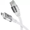 Goobay 74176 – Netzwerk-Adapterkabel USB 3.1 Typ C Gigabit-Ethernet 2 m – Netzwerkkarte – 1.000 Mbit/s (74176)