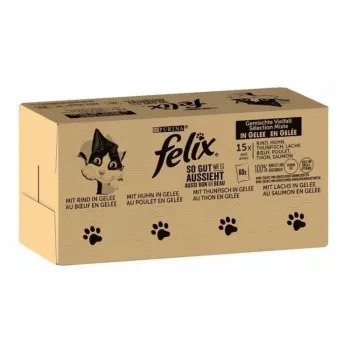 Nassfutter für Katzen Purina Felix proteinreich 100 g Beutel — Geschmack Fisch & Huhn, ausgewachsene Katzen, Packung mit 120