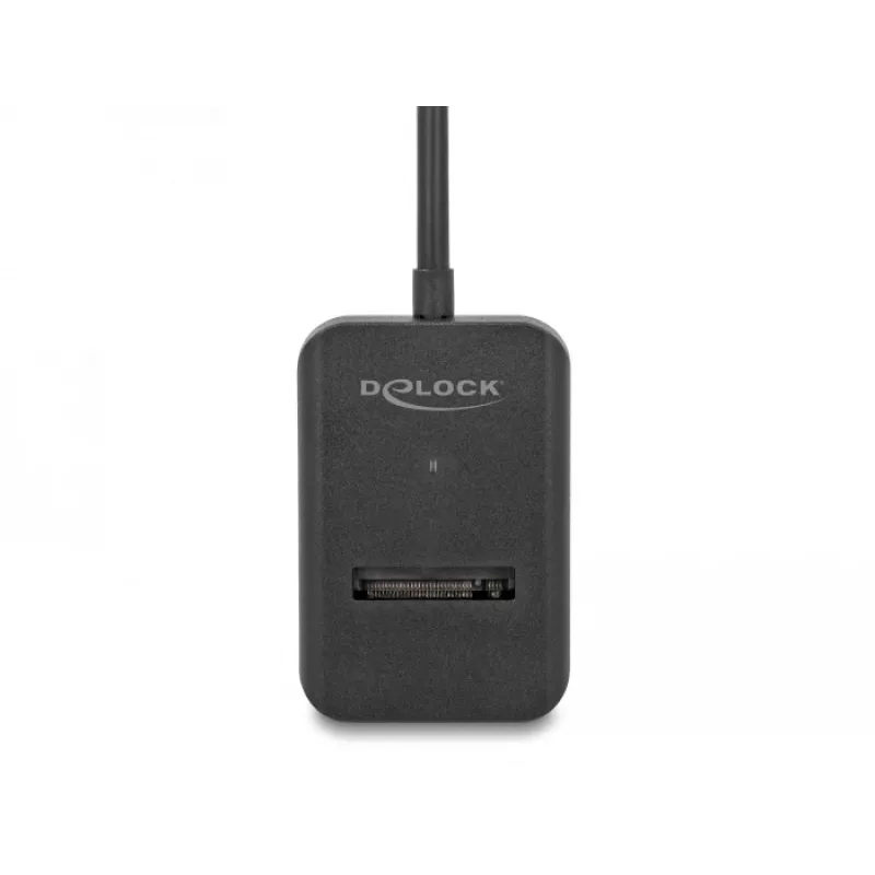 DeLOCK Combo-Konverter für M.2 NVMe PCIe SATA SSD USB Type-C 10 Gbit/s