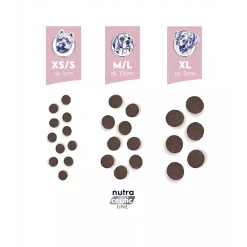 BALTICA NUTRACEUTIC Hypoallergenes Lamm & Reis M 12kg