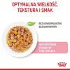 Nassfutter für Katzen Royal Canin Kitten Gravy 85 g — Geflügel, 78 % Feuchtigkeit, 12 % Protein