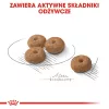 Royal Canin Adult Poultry Trockenfutter für Hunde 1 kg – für sterilisierte kleine und kleinste Rassen, Protein 30%, Fett 13%