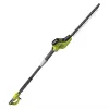 Ryobi RPT4545M Doppelmesser 450 W 4,1 kg