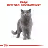 Trockenfutter für Katzen Royal Canin British Shorthair Adult 2 kg — Geflügel, 34% Protein, 19% Fett