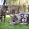 Nassfutter für Katzen VETEXPERT RAW PALEO Adult Sterilised Beef 100 g Beutel, Monoprotein, 78 % Feuchtigkeit