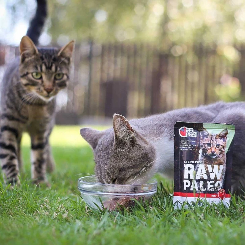 Nassfutter für Katzen VETEXPERT RAW PALEO Adult Sterilised Beef 100 g Beutel, Monoprotein, 78 % Feuchtigkeit