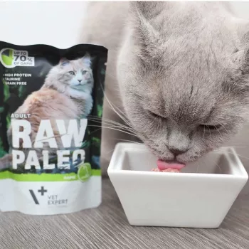 Nassfutter für Katzen VETEXPERT RAW PALEO Adult Hirsch 100 g — getreidefreies Einzelportionsbeutel