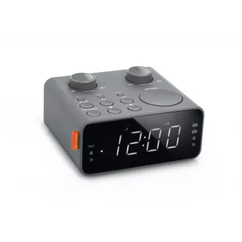 Muse Dual Alarm Clock Radio | M-17 LG | Weckerfunktion | AUX-Eingang