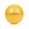 ABS-Rehabilitationsball mit Pumpe, 45 cm