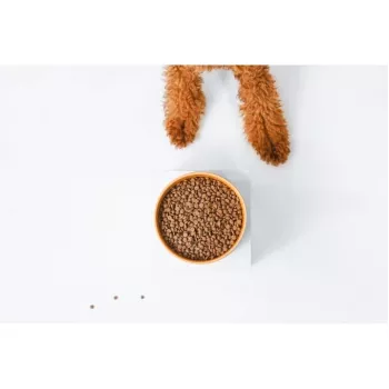 Trockenfutter für Hunde nature's protection Superior Care Red Coat Adult Small breed Getreidefrei Lachs 10 kg