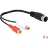 Audiokabel DeLOCK 85835 0,2 m DIN (5-polig) 2 x RCA Schwarz