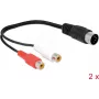 Audiokabel DeLOCK 85835 0,2 m DIN (5-polig) 2 x RCA Schwarz