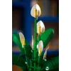 LEGO BOTANICALS 11504 Friedenslilie