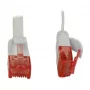 Synergy 21 S216170V2 Netzwerkkabel 0,25 m Cat6 U/UTP (UTP) Weiß (S216170V2)
