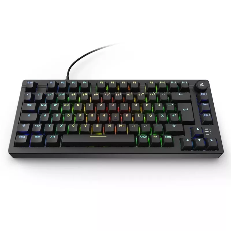 Sharkoon SGK25 Tastatur Home USB QWERTZ Deutsch Schwarz 75% RGB LED