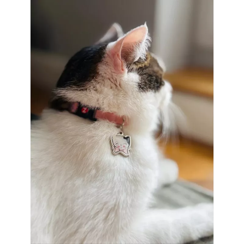 ZOLUX Chatouille pink - Katzenhalsband