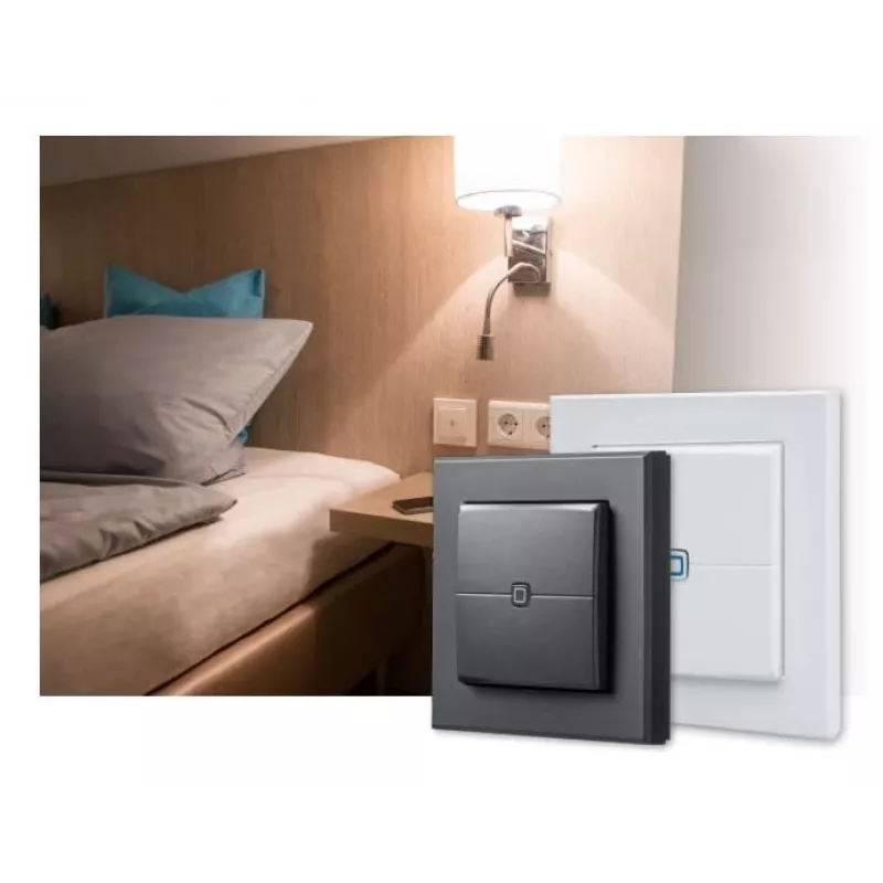 eQ-3 AG Homematic IP HmIP-WRC2-A-2, Wireless, RF Wireless, Anthrazit, Wand, 868-868,6 / 869,4-869,65 MHz, Tasten