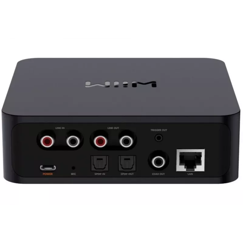 WiiM Pro Plus – Netzwerk-Player