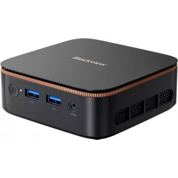 Schwarzview MP20 16 GB SSD 512 GB Win 11 Pro - Mini-PC, Schwarz
