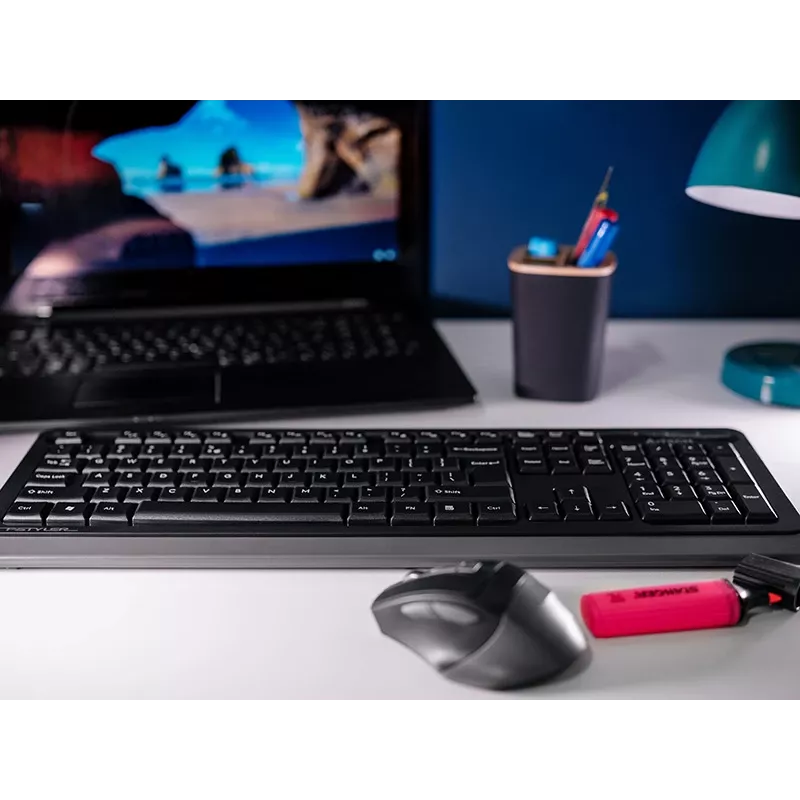 Kabellose Maus A4Tech FStyler 47478 2.4G Nano Grau ergonomisches Design