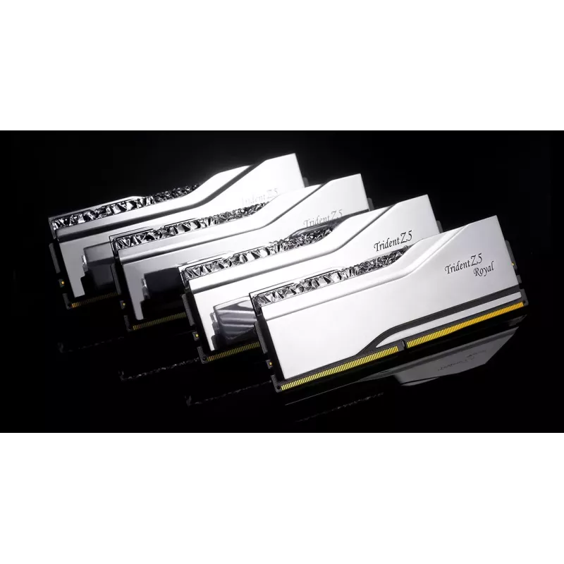 Speichermodul G.Skill DDR5 48GB 8000MHz