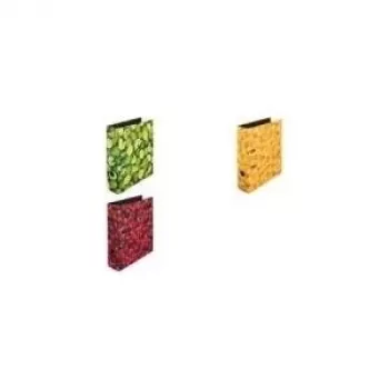 Ringbuch Herlitz 10485134 A4 Mehrfarbig