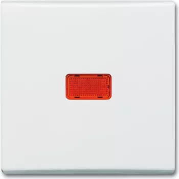 BUSCH JAEGER Wippschalter cws Kontroll-Zweipolschalter 2107-32