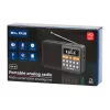 Tragbares analoges AM/FM-Bluetooth-Radio BLOW RA18 mit FM-Tuner und Bluetooth-Konnektivität