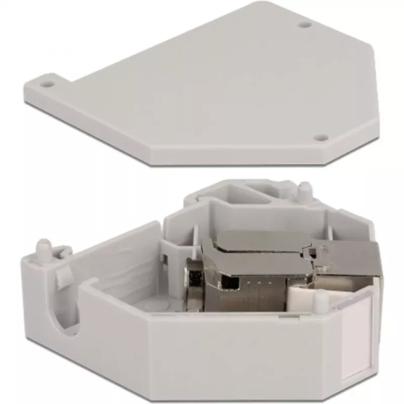 Delock - Modularadapter - DIN-Schienen-montierbar - CAT 6a - STP - Grau - 1 Anschluss (86014)