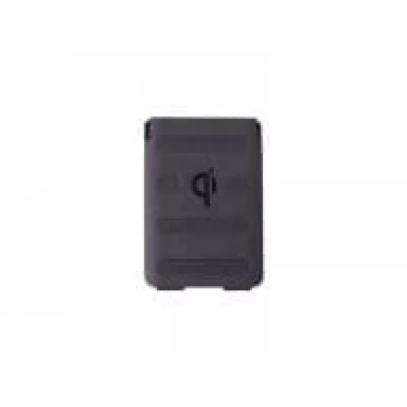 Datalogic Ersatzakku, 4.100 mAh, passend für: Memor 11, Memor 10 (94ACC0370)