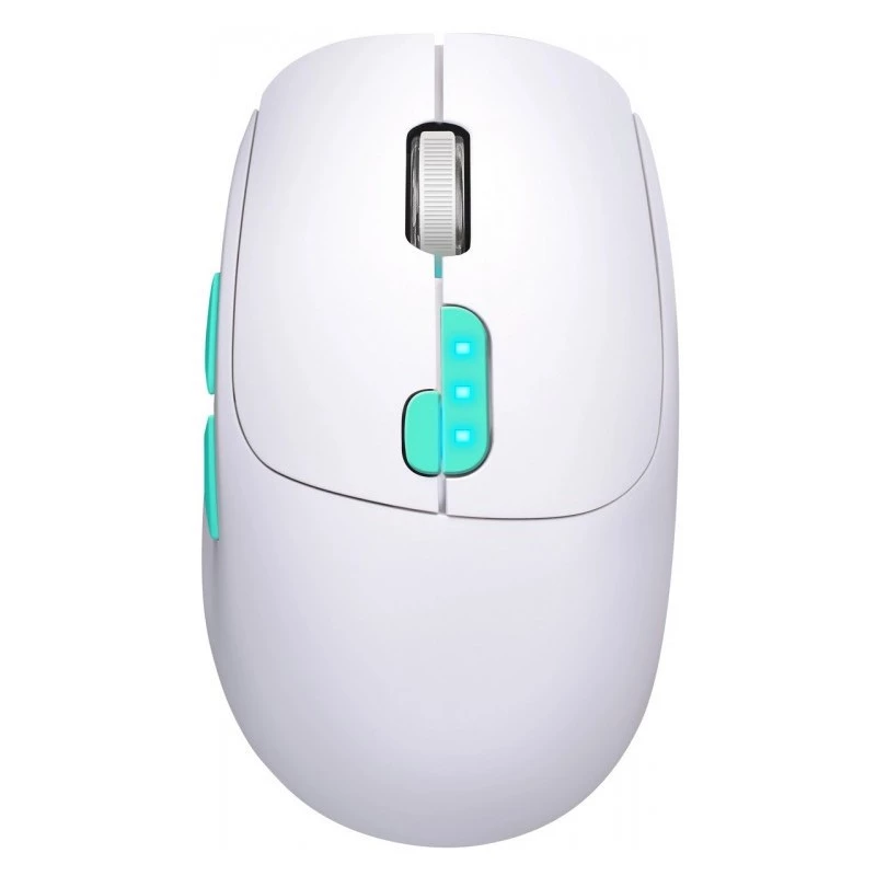 Maus Defender NITTA MM-307 RF+BT OPTISCH 1600dpi 6T WEISS