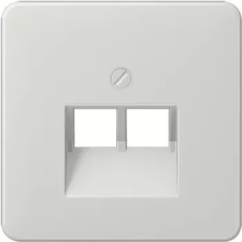 Jung CD569-2UALG Grau