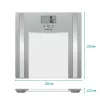 Glas-Analysewaage Salter 9182 SV3R