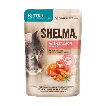 SHELMA Kätzchen mit Lachs in Soße - Nasskatzenfutter - 85g