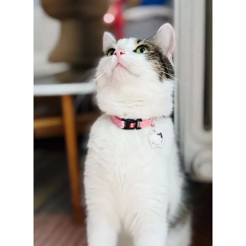 ZOLUX Chatouille pink - Katzenhalsband