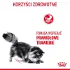 Trockenfutter für Katzen Royal Canin Digestive Care 4 kg — Ausgewachsene Katzen, Geflügel, Verdauungsfördernd