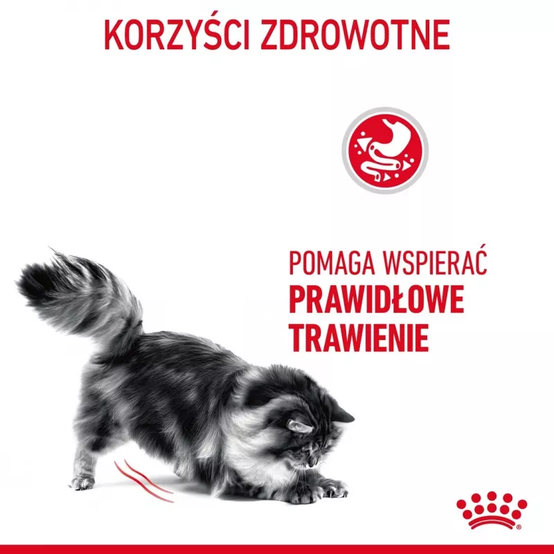 Trockenfutter für Katzen Royal Canin Digestive Care 4 kg — Ausgewachsene Katzen, Geflügel, Verdauungsfördernd