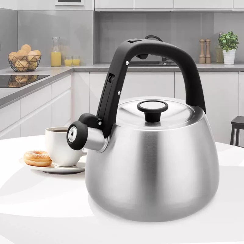 Wasserkocher Maestro MR-1318 2,5 l Silber, Schwarz