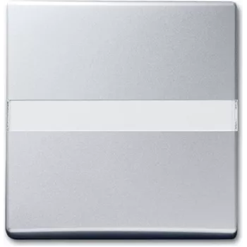 Busch Jaeger 2106 N-33 Silver (1731-0-1961)