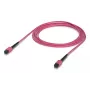 Ubiquiti UACC-OFC-MA-MPMP-3M MPO/UPC Glasfaserkabel 3m OM4