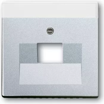 Busch Jaeger 1710-0-3674 Abdeckung/Schalterabdeckung Aluminium (1710-0-3674)
