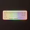 Mechanische Gaming-Tastatur AKKO YU01 Antique Jade 65% RGB mit V3 Piano Pro Switches