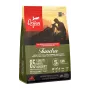 ORIJEN Tundra – Trockenfutter für Hunde – 2 kg